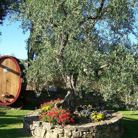 Hotel Belvedere Di San Leonino Castellina in Chianti Exterior foto