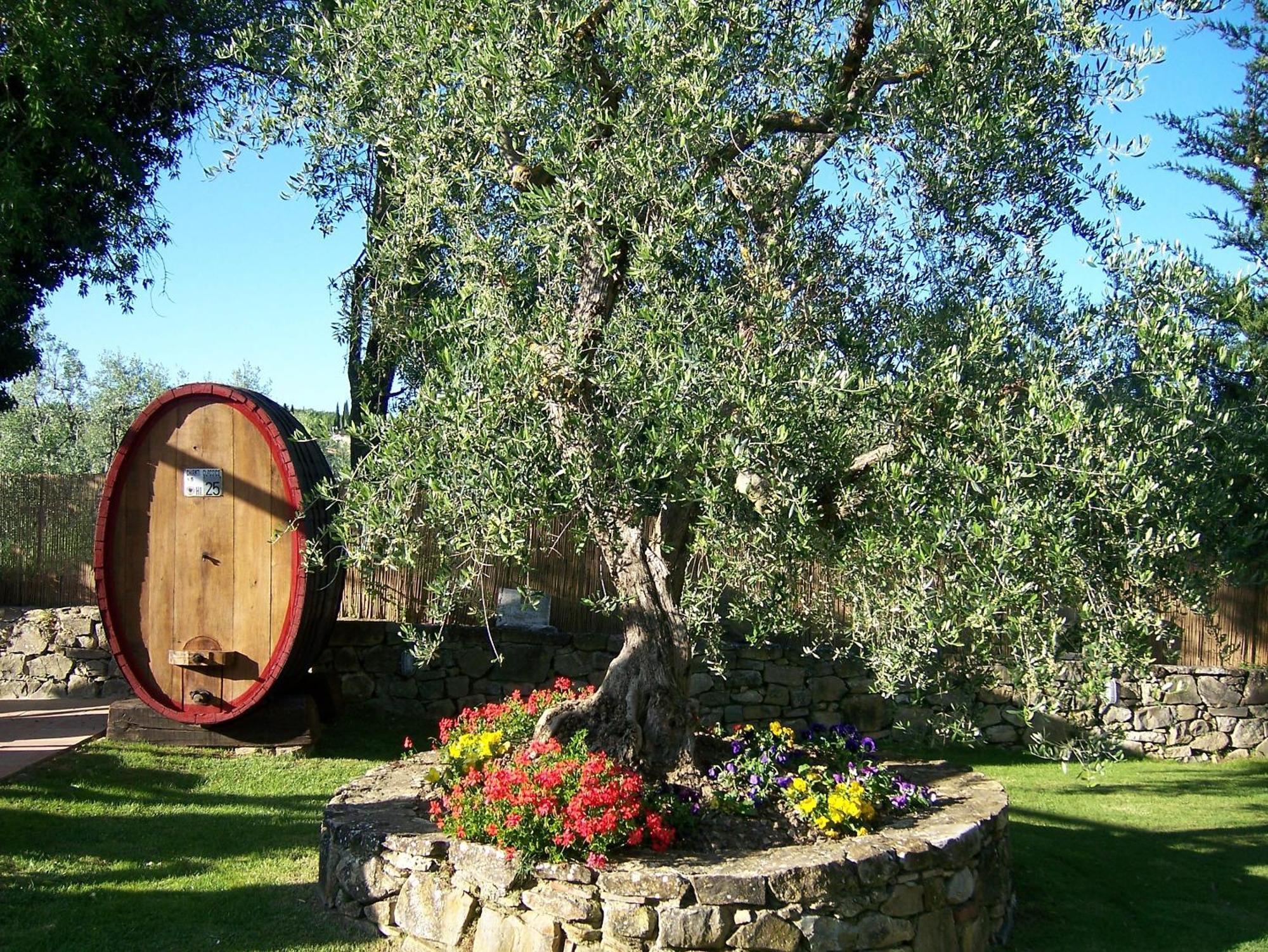 Hotel Belvedere Di San Leonino Castellina in Chianti Exterior foto