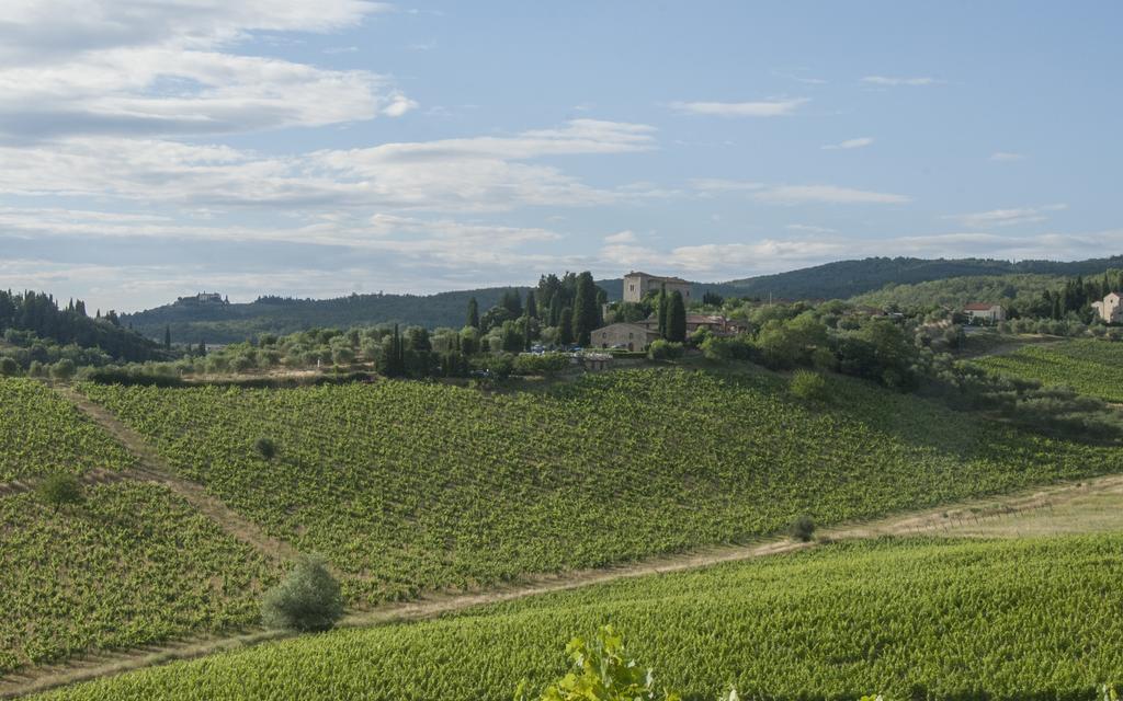 Hotel Belvedere Di San Leonino Castellina in Chianti Exterior foto