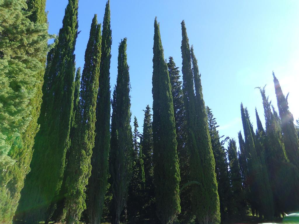 Hotel Belvedere Di San Leonino Castellina in Chianti Exterior foto